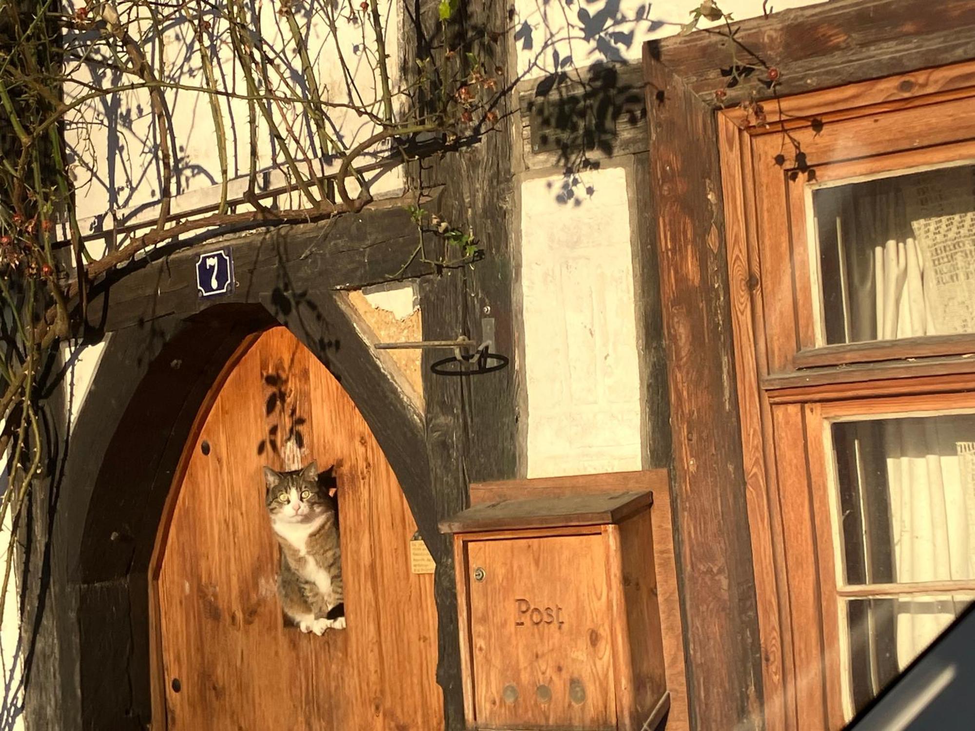 Blaues Haeuschen Apartment